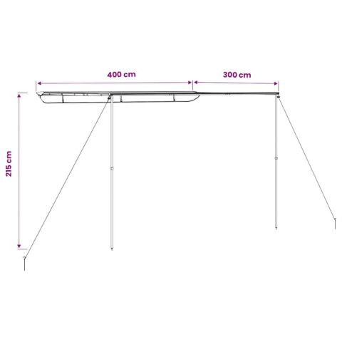 VidaXL Zadaszenie do kampera, 4 x 3 x 2,15 m, beżowe