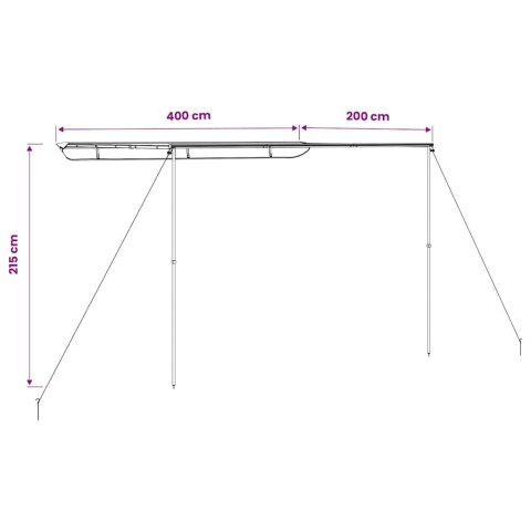 VidaXL Zadaszenie do kampera, 4 x 2 x 2,15 m, beżowe