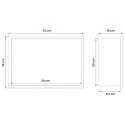 VidaXL Nisza prysznicowa srebrny 30 x 20 x 9,5 cm Stal nierdzewna