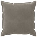 VidaXL Poszewka na poduszkę 2 pcs HOUTEN jasnoszary 55 x 55 cm Welur