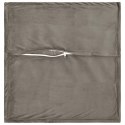 VidaXL Poszewka na poduszkę 2 pcs HOUTEN jasnoszary 55 x 55 cm Welur