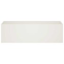 VidaXL Doniczka ogrodowa 2 szt. Biały 100 x 30 x 30 cm Stal zimnogięta