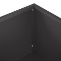 VidaXL Doniczka ogrodowa 2 szt. Czarny 100 x 30 x 49 cm