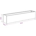 VidaXL Doniczka ogrodowa 2 szt. srebrny 80 x 20 x 20 cm
