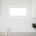 VidaXL Biała wewnętrzna kolor okna piwnicznego RISOR 100 x 60 cm