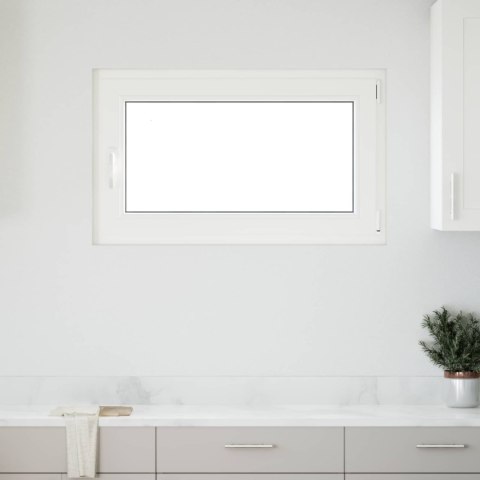 VidaXL Biała wewnętrzna kolor okna piwnicznego RISOR 100 x 60 cm