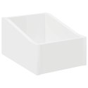 VidaXL Pudełko na płyty LP Biały 23 x 33 x 16 cm Drewno inżynieryjne