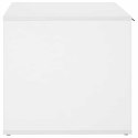 VidaXL Meble dla kota Biały 100 x 49 x 45 cm Drewno inżynieryjne