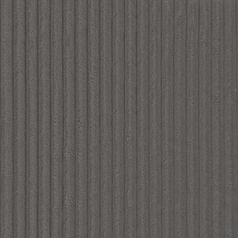 POSZEWKA NA PODUSZKĘ 2 PCS HEERLEN CIEMNOSZARY Ø 15 X 40 CM