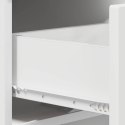 VidaXL Szafka na buty 48 x 38 x 87,5 cm materiał drewnopochodny Biały