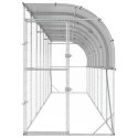 VidaXL Kurnik przy ścianie srebrny 600 x 150 x 215 cm Stal ocynkowana