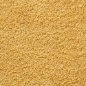 12-CZĘŚCIOWY ZESTAW RĘCZNIKÓW PREMIUM SOLUND, ZŁOTY, 600 G/CM²