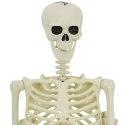 VidaXL Dekoracja Halloween Szkielet 2 szt. Biały 155 x 38.5 cm