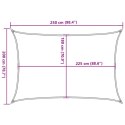 VidaXL Żagiel przeciwsłoneczny, 160 g/m², jasnoszary, 2x2,5 m, HDPE