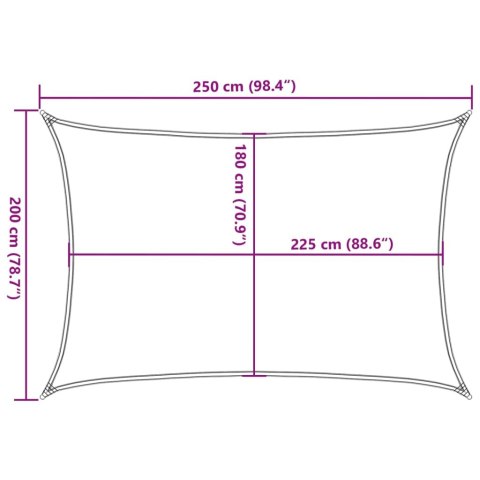 VidaXL Żagiel przeciwsłoneczny, 160 g/m², jasnoszary, 2x2,5 m, HDPE