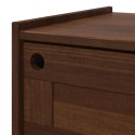 SZAFKA POD TELEWIZOR BILBAO 114 X 40 X 45 CM CIEMNY KARMEL