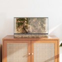 VidaXL Terrarium z przechowywaniem przezroczysty 50 x 30 x 30 cm Szkło