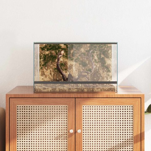 VidaXL Terrarium z przechowywaniem przezroczysty 50 x 30 x 30 cm Szkło