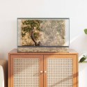 VidaXL Terrarium z przechowywaniem przezroczysty 60 x 40 x 40 cm Szkło