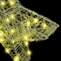 3D GWIAZDA 50 LED CIEPŁA BIEL 55 X 53.5 X 10 CM AKRYL