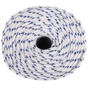 WIELOFUNKCYJNA LINA GOSPODARCZA 10 MM 25 M BIAŁY I NIEBIESKI PP