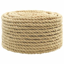 WIELOFUNKCYJNA LINA GOSPODARCZA 10 MM 25 M NATURALNY PP