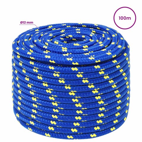 WIELOFUNKCYJNA LINA GOSPODARCZA 12 MM 100 M NIEBIESKI PP