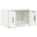 SZAFKA DO PRZECHOWYWANIA BIAŁY 60 X 40 X 40 CM STAL
