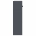 SZAFKA DO PRZECHOWYWANIA 2 SZT. ANTRACYT 60 X 40 X 145 CM STAL