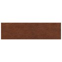 PARAPETY 2 SZT. CIEMNY BRĄZ 100 X 30 X 2 CM DĄB LITE