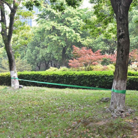 TAŚMA DO SLACKLININGU, 15 M X 50 MM, 150 KG, ZIELONA