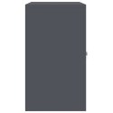 SZAFKA DO PRZECHOWYWANIA ANTRACYT 80 X 40 X 70 CM STAL