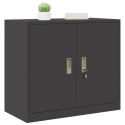SZAFKA DO PRZECHOWYWANIA CZARNY 80 X 40 X 70 CM STAL