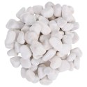 VidaXL Polerowane kamyki, 10 kg, białe, 2-5 cm