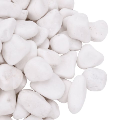 VidaXL Polerowane kamyki, 10 kg, białe, 2-5 cm