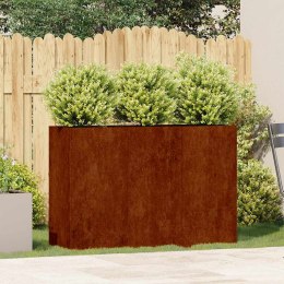 DONICZKA RUSTY 120X40X80 CM STAL NIERDZEWNA