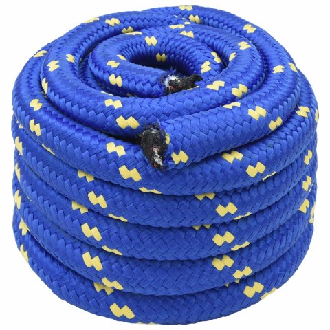 WIELOFUNKCYJNA LINA GOSPODARCZA 30 MM 25 M NIEBIESKI PP