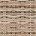 VidaXL Ławka z miejscem do przechowywania GENDT Naturalny rattan