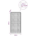 VidaXL Gabion z drutu 3,5 mm i siatką 5x10 cm 100x20x200 cm