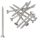 VidaXL Śruby 100 pcs srebrny Ø 2,88 x 45 mm Stal nierdzewna A2