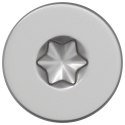 VidaXL Śruby 100 pcs srebrny Ø 2,88 x 45 mm Stal nierdzewna A2