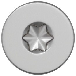 VidaXL Śruby 100 pcs srebrny Ø 2,88 x 45 mm Stal nierdzewna A2