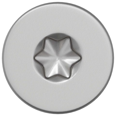 VidaXL Śruby 100 pcs srebrny Ø 2,88 x 45 mm Stal nierdzewna A2