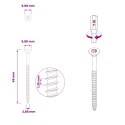 VidaXL Śruby 100 pcs srebrny Ø 2,88 x 45 mm Stal nierdzewna A2