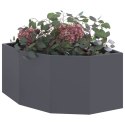 VidaXL Doniczka Różnorożna antracytowy 60 x 60 x 35 cm Stal