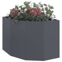 VidaXL Doniczka Różnorożna antracytowy 60 x 60 x 50 cm Stal