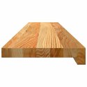VidaXL Parapety 2 szt., jasnobrązowy, 100x20x2 cm, lite drewno dębowe