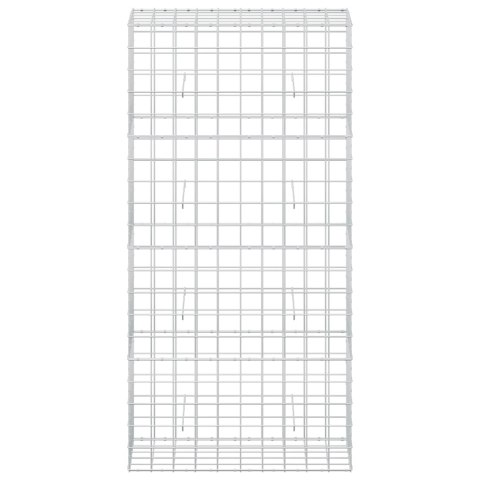 VidaXL Gabion z drutu 3,5 mm i siatką 10x10 cm 100x50x200 cm