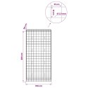 VidaXL Gabion z drutu 3,5 mm i siatką 10x10 cm 100x50x200 cm