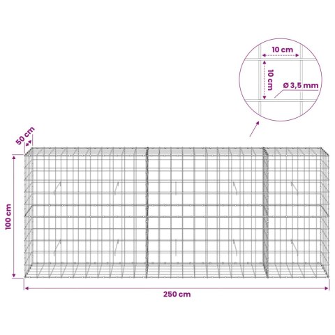 VidaXL Gabion z drutu 3,5 mm i siatką 10x10 cm 250x50x100 cm